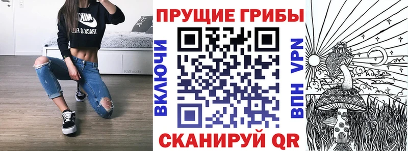 Псилоцибиновые грибы прущие грибы  Высоковск 